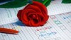 rose on the notebook